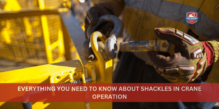 Read more about the article Everything You Need to Know About Shackles in Crane Operation